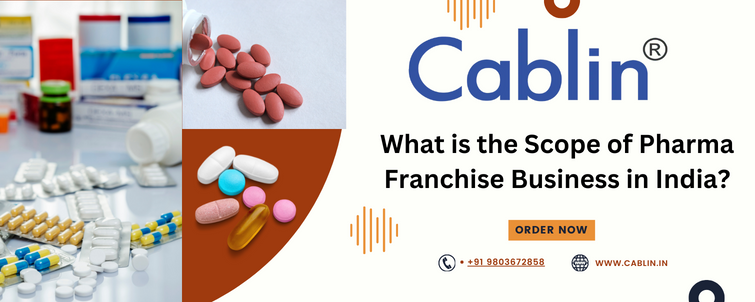 Pharma Franchise Business in India